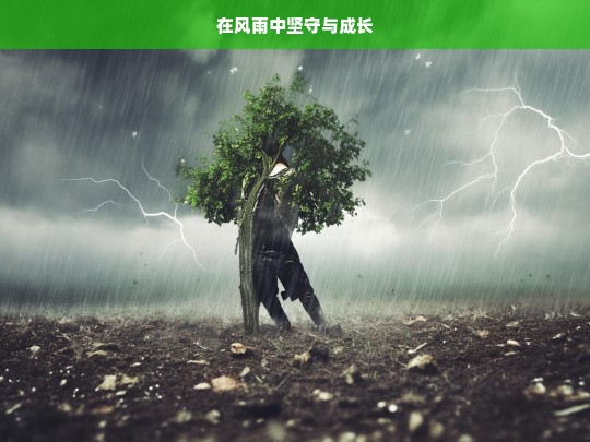 在风雨中坚守与成长，风雨中的坚守与成长