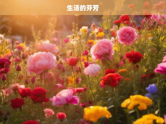 生活的芬芳，生活之芬芳