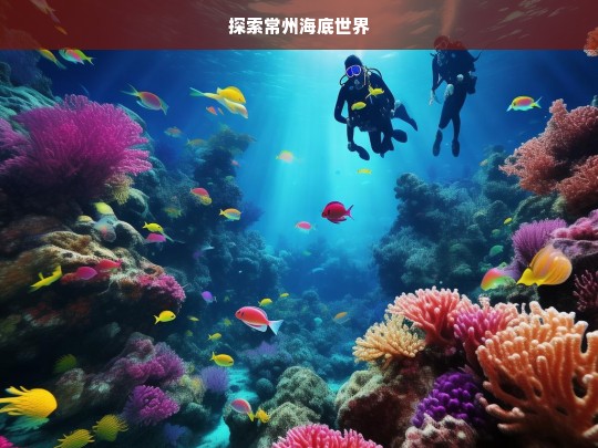 探索常州海底世界，探索常州海底世界之旅