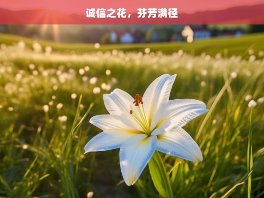 诚信之花，芬芳满径，诚信之花绽芬芳