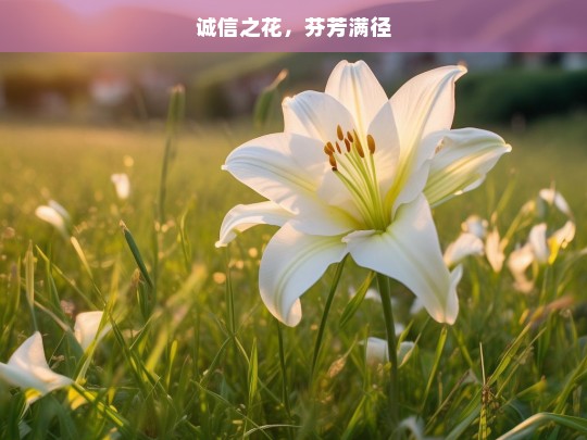 诚信之花，芬芳满径，诚信之花绽芬芳