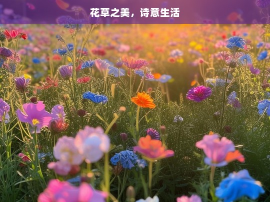 花草之美，诗意生活，花草与诗意生活