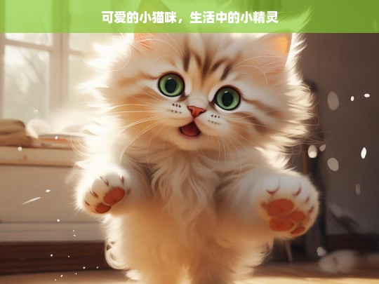 可爱的小猫咪，生活中的小精灵