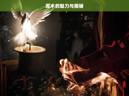 魔术的魅力与揭秘，魔术，魅力与揭秘之旅